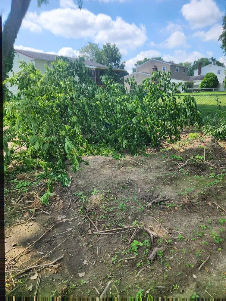 Local lawn care service experts serving Paulsboro, NJ - Absolute Exteriors