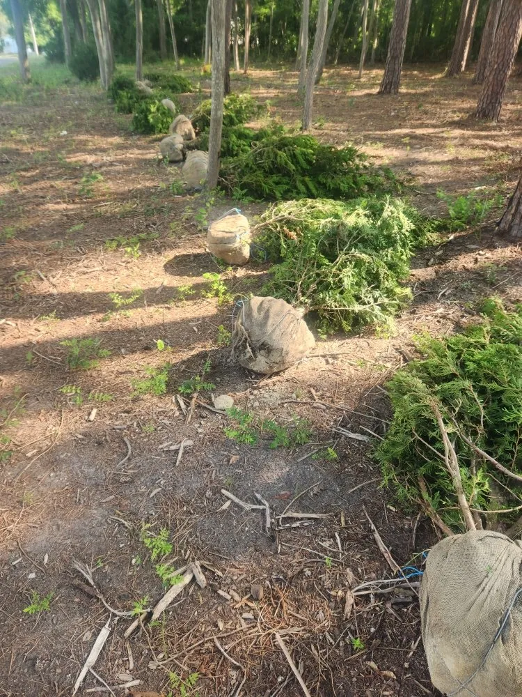 Expert landscape installation for residential properties in Paulsboro, NJ by Absolute Exteriors