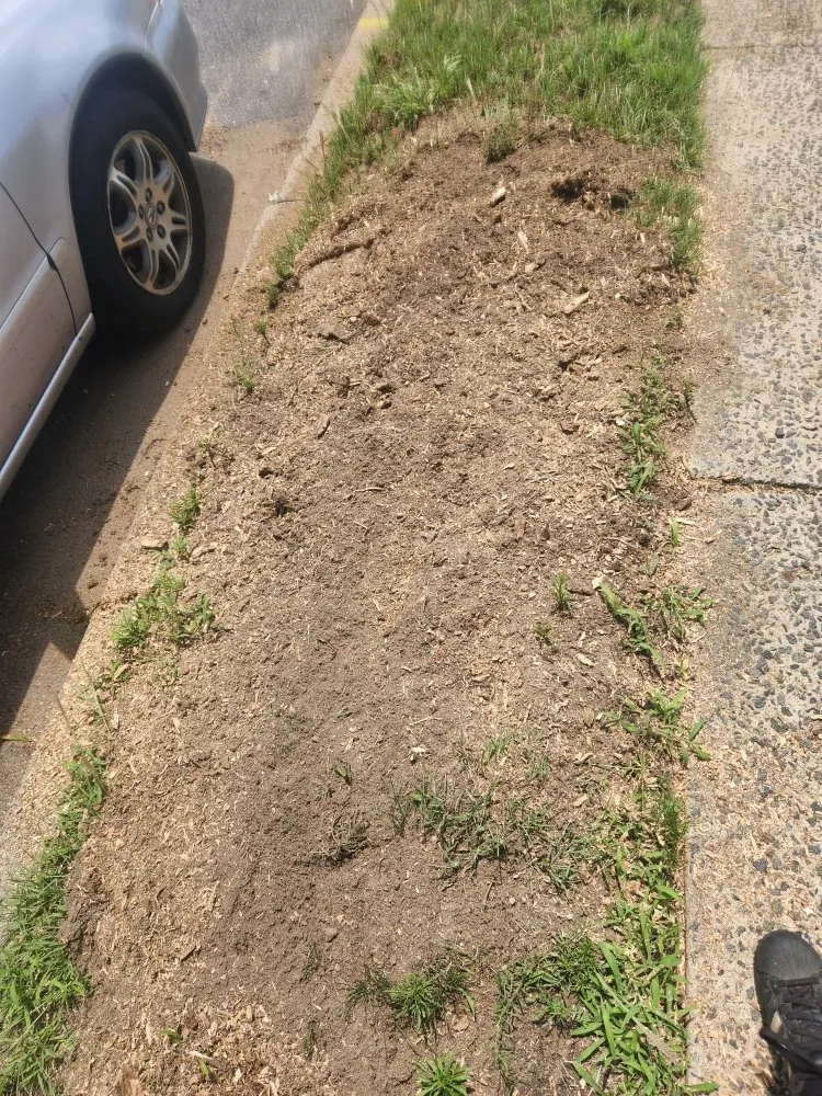 Top-rated garden landscaping for residential properties in Paulsboro, NJ by Absolute Exteriors