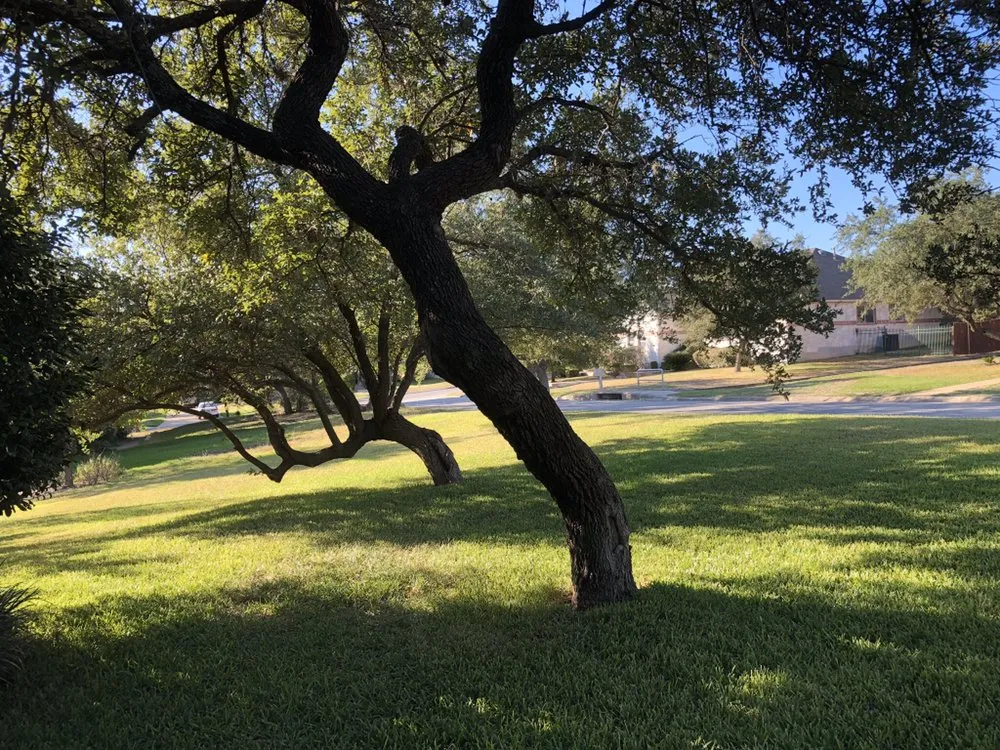 Custom garden landscaping in San Antonio, TX - Absolute Fencing & Lawncare