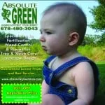 Expert yard cleanup service experts serving Dallas, GA - Absolute Green