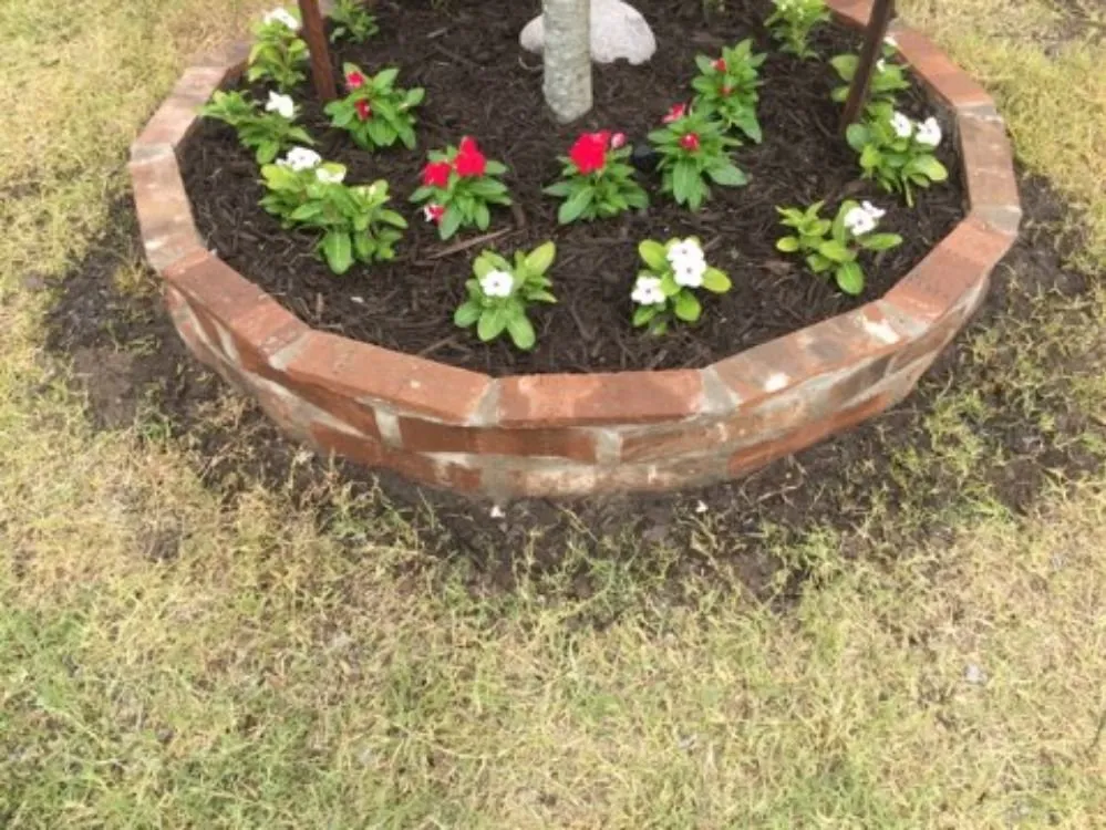 Expert lawn care service in Keller, TX by Absolute Green Lawn and Landscape