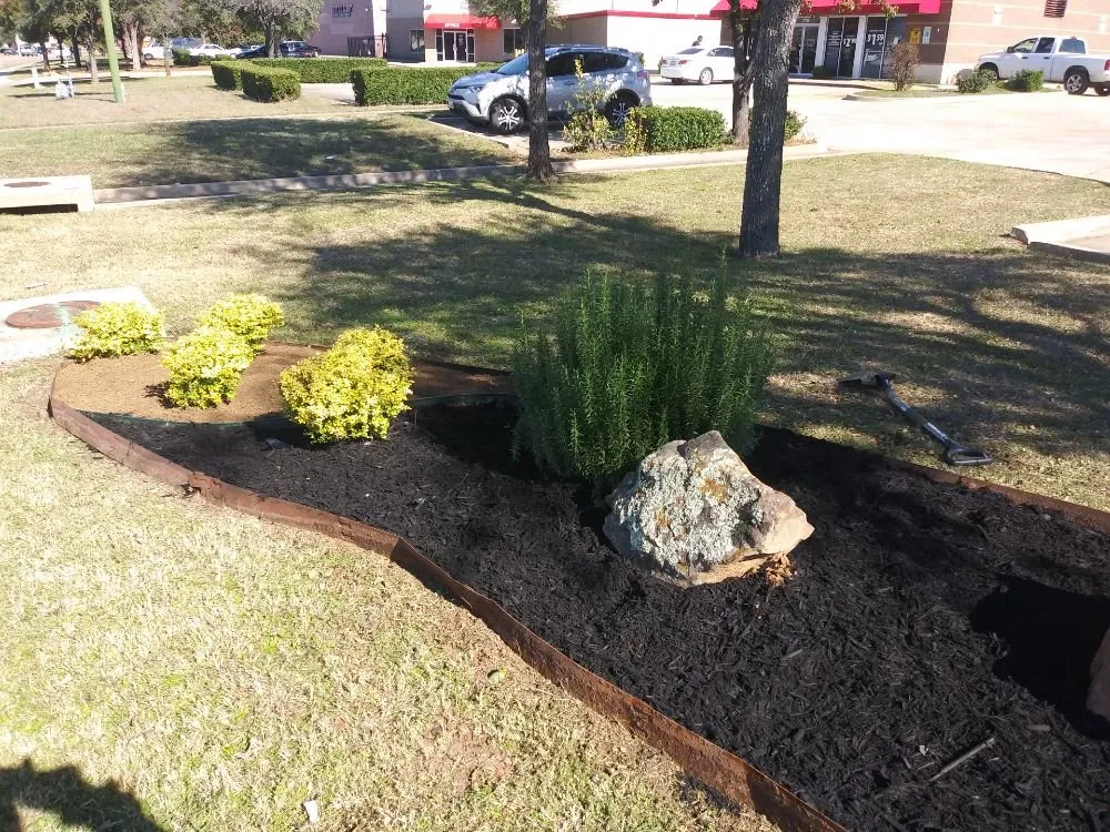 Top-rated landscaping services in Keller, TX - Absolute Green Lawn and Landscape