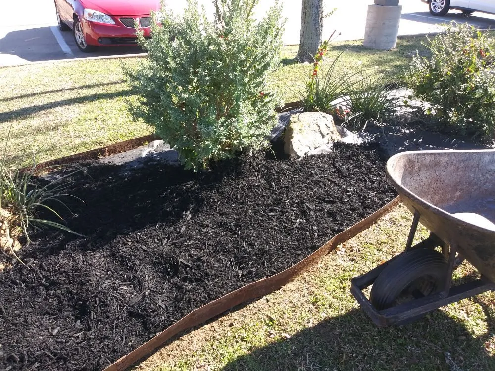 Trusted yard cleanup service for residential properties in Keller, TX by Absolute Green Lawn and Landscape