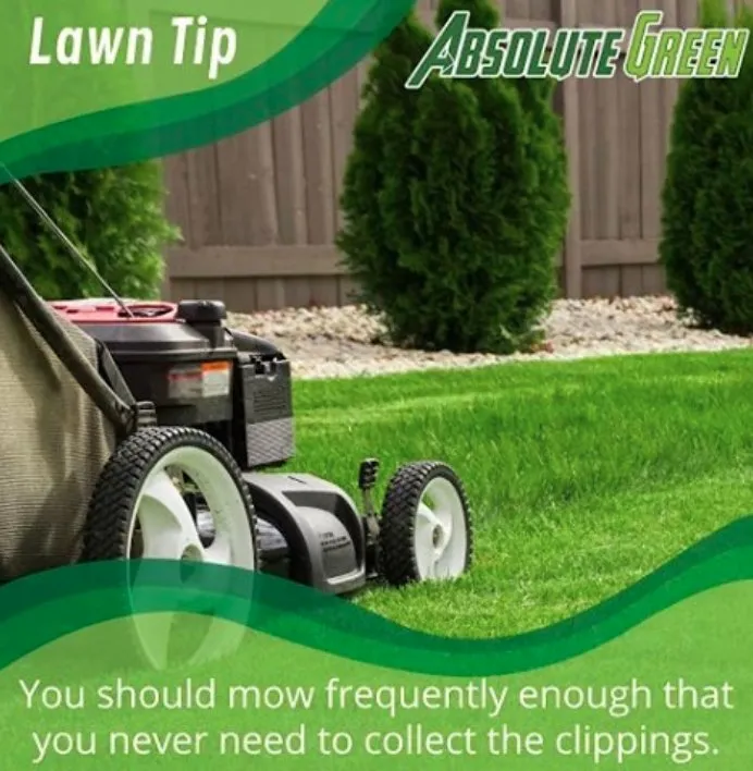 Local landscaping services for residential properties in Buford, GA by Absolute Green Lawn Care