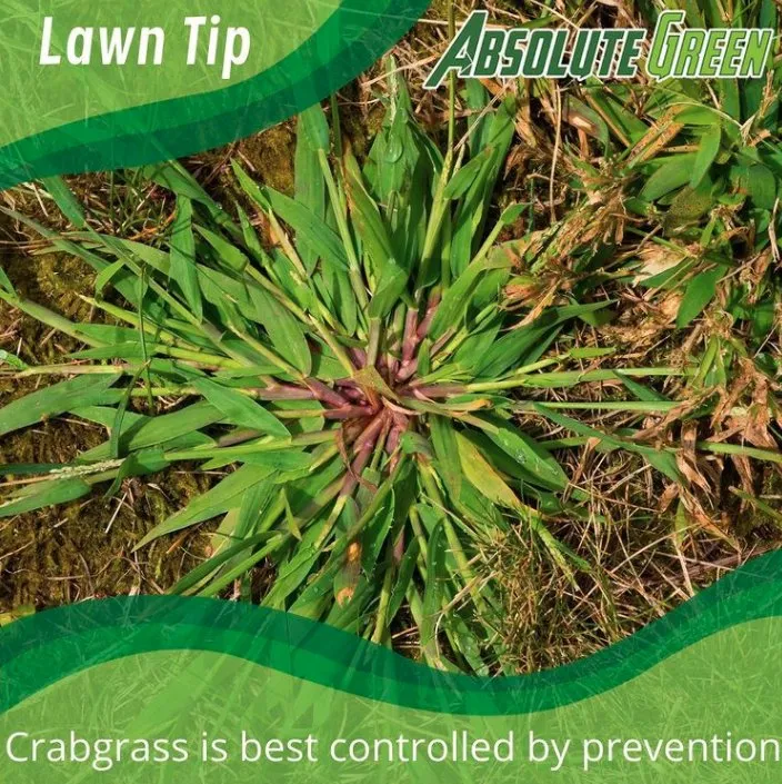 Custom landscape design experts serving Buford, GA - Absolute Green Lawn Care