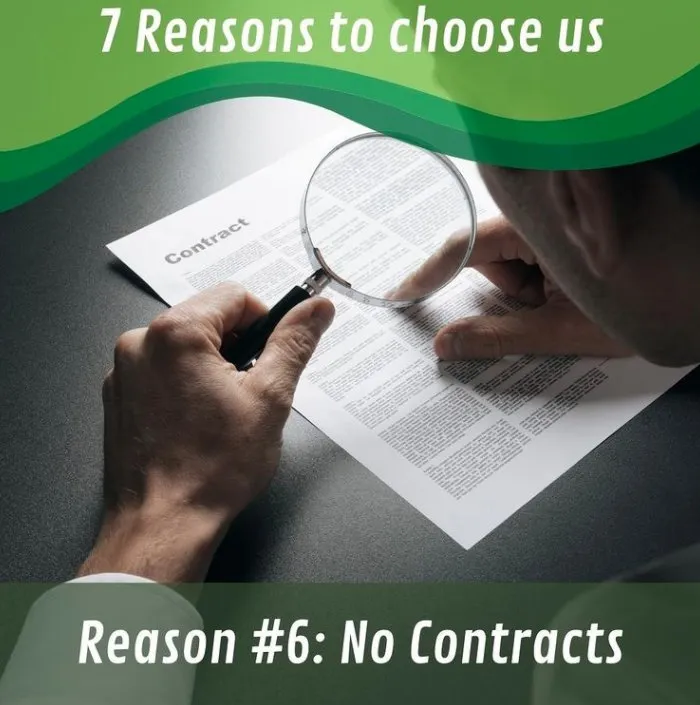 Top-rated residential landscaping for year-round maintenance in Buford, GA by Absolute Green Lawn Care