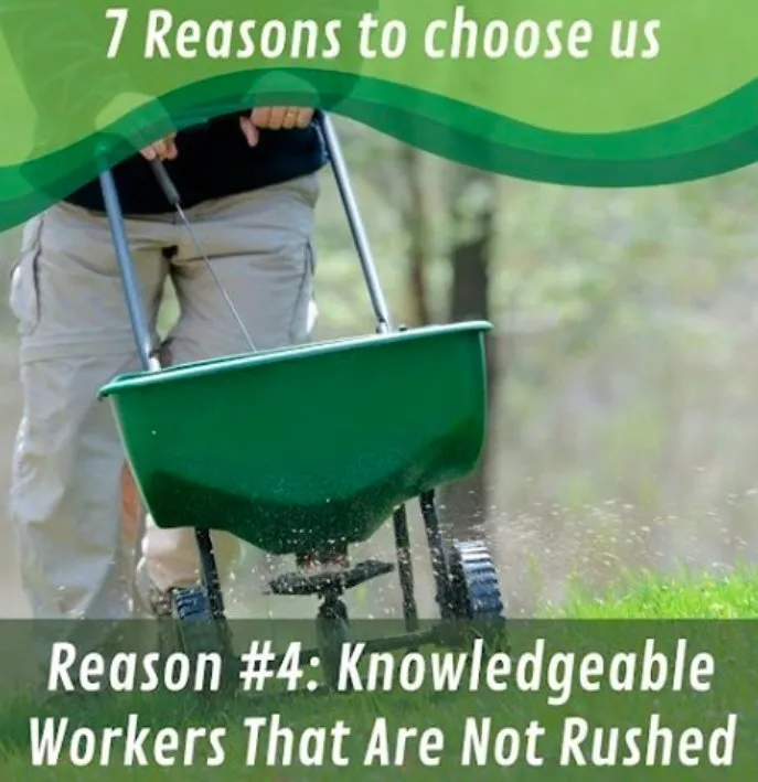 Expert landscape installation in Buford, GA by Absolute Green Lawn Care