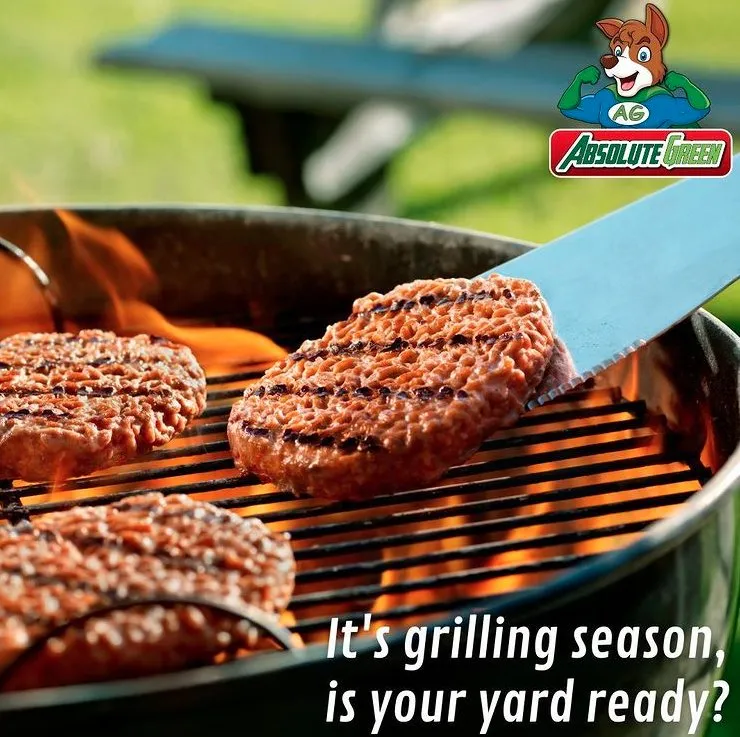 Affordable lawn care service in Buford, GA by Absolute Green Lawn Care