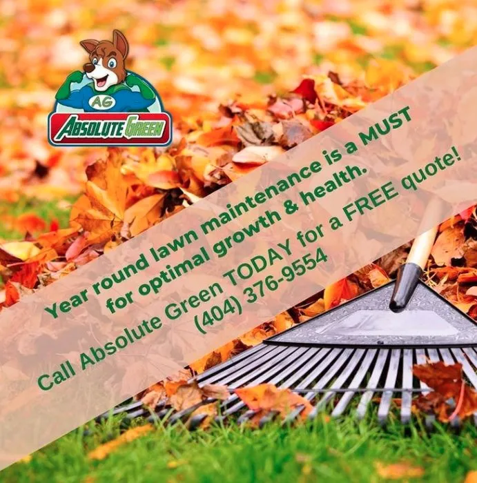 Reliable outdoor landscaping experts serving Buford, GA - Absolute Green Lawn Care