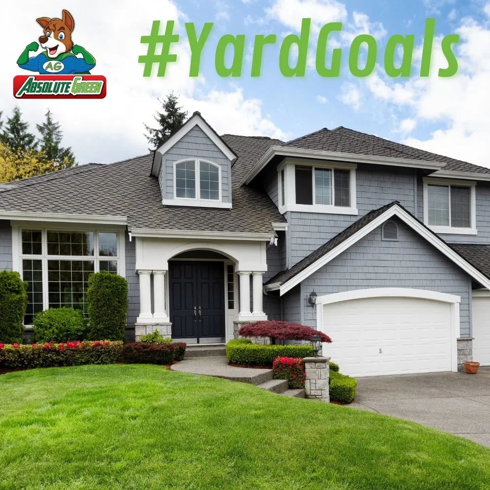 Local landscape installation for outdoor upgrades in Buford, GA by Absolute Green Lawn Care