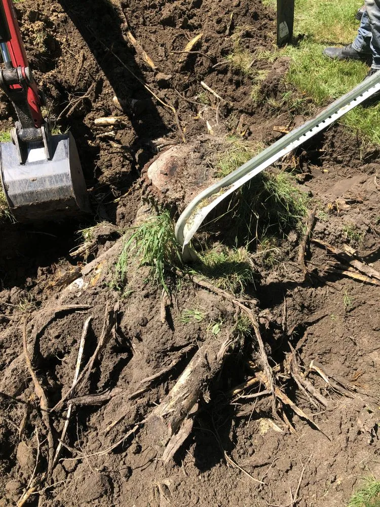 Expert landscaping services experts serving Mount Morris, MI - Absolute Hauling & Services