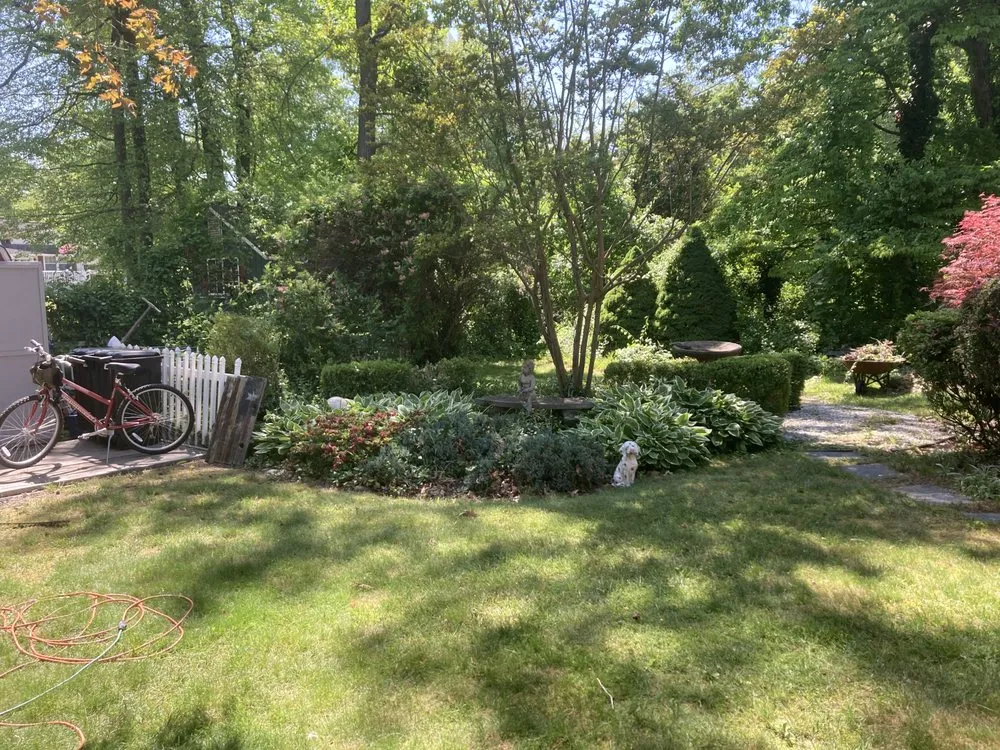 Expert landscaping services in Vesuvius, VA by Absolute housekeeping