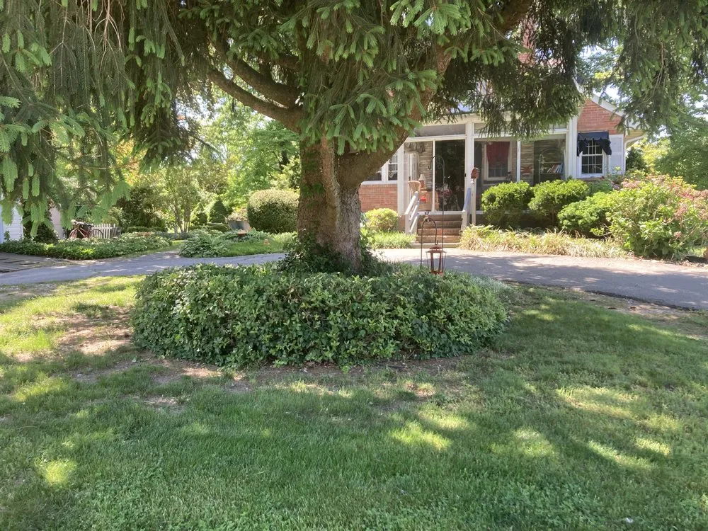 Expert garden landscaping in Vesuvius, VA by Absolute housekeeping