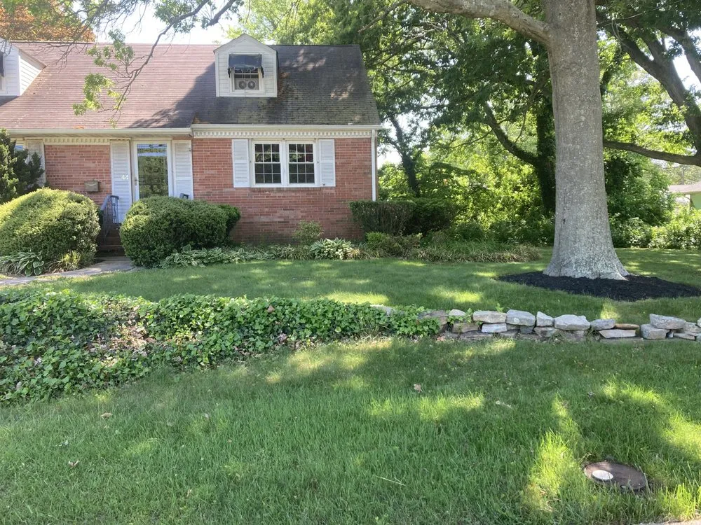Top-rated yard cleanup service experts serving Vesuvius, VA - Absolute housekeeping