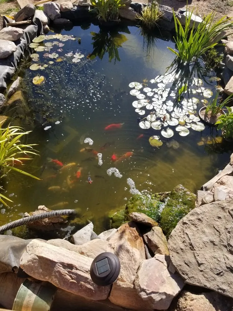Custom landscape installation in Moriarty, NM - Absolute Landscaping and Pond Maintenance