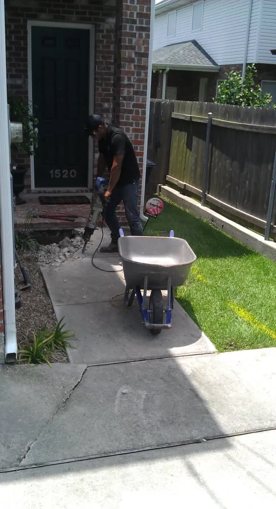 Top-rated landscape installation for year-round maintenance across New Orleans, LA - Absolute Landscaping