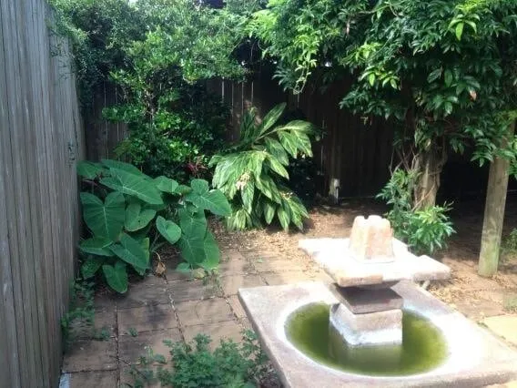 Expert residential landscaping in New Orleans, LA - Absolute Landscaping