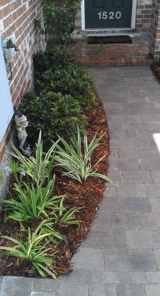 Custom lawn care service in New Orleans, LA by Absolute Landscaping