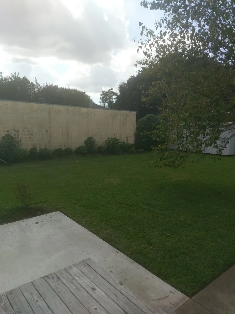 Local yard maintenance in New Orleans, LA - Absolute Landscaping