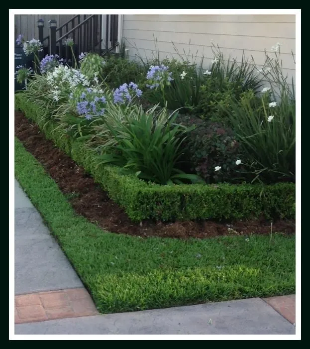 Reliable landscaping services for beautiful yards in New Orleans, LA by Absolute Landscaping