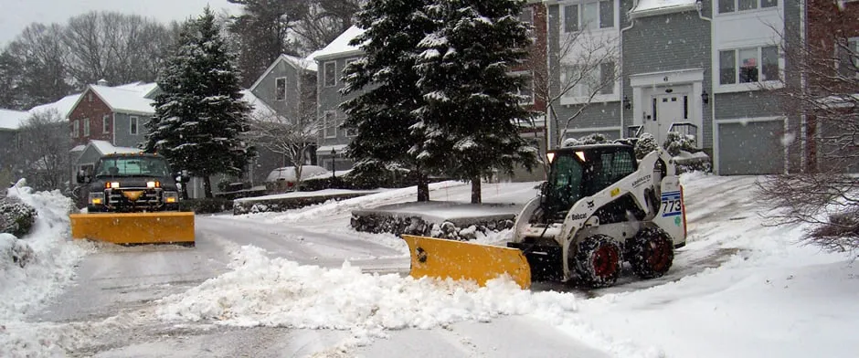 Local yard cleanup service in Stoughton, MA - Absolute Landscaping