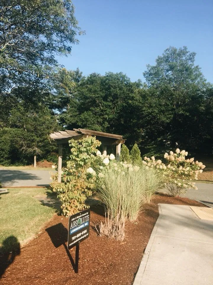 Professional lawn care service in Stoughton, MA by Absolute Landscaping