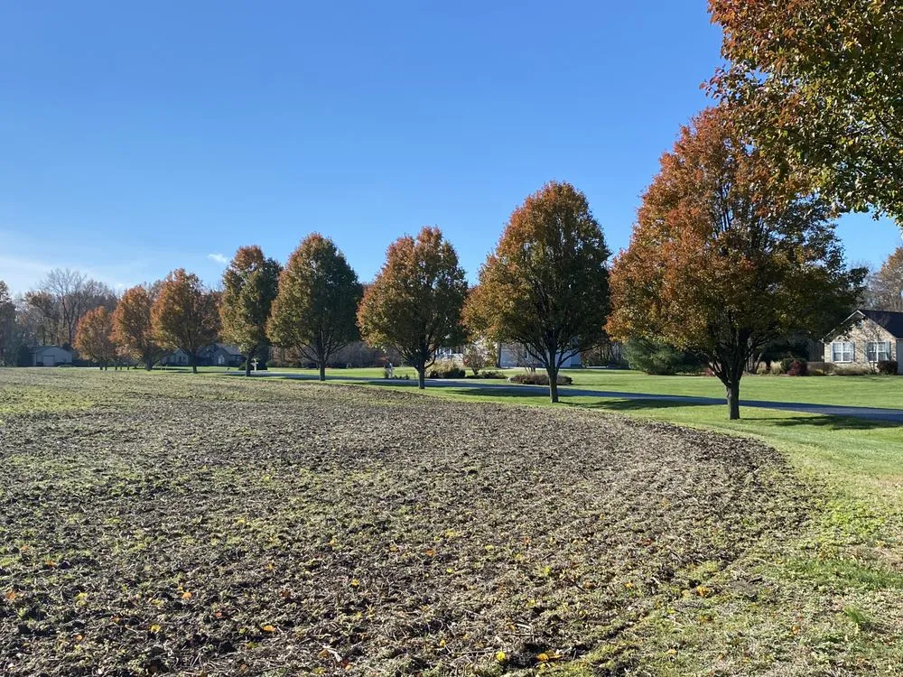 Professional residential landscaping for year-round maintenance across Brookston, IN - Absolute Lawn & Tree Service