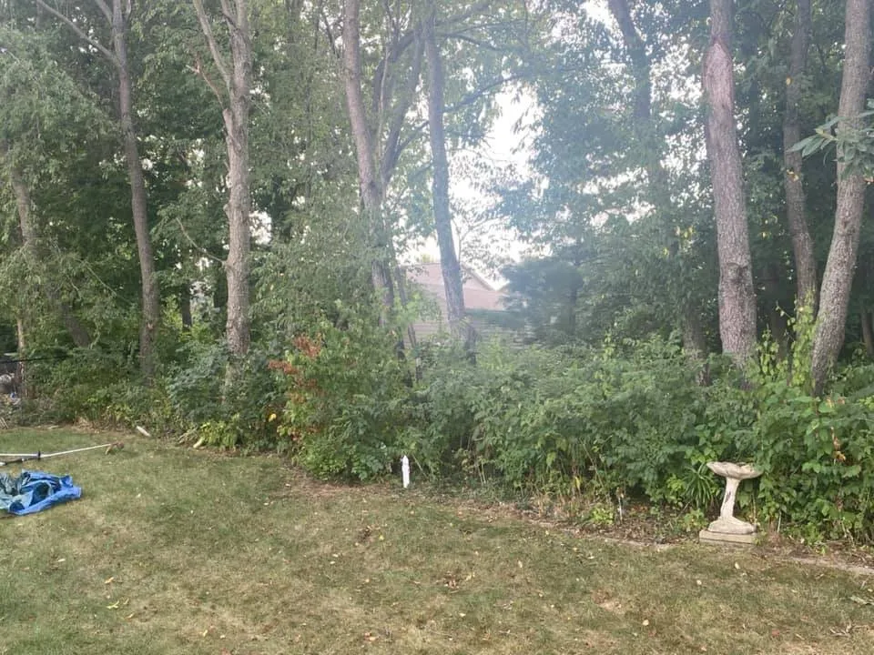 Reliable landscape design experts serving Brookston, IN - Absolute Lawn & Tree Service