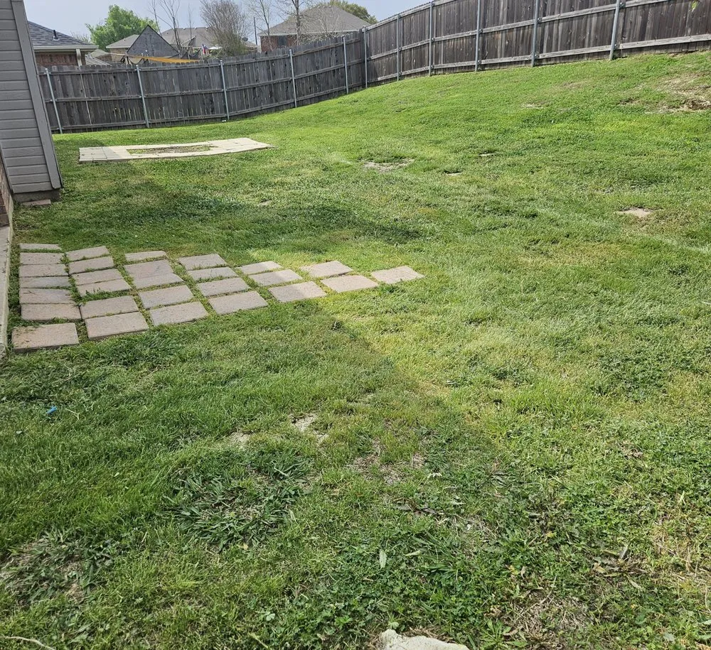 Affordable residential landscaping for outdoor upgrades in Copperas Cove, TX by Absolute Lawn And Landscape Maintenance