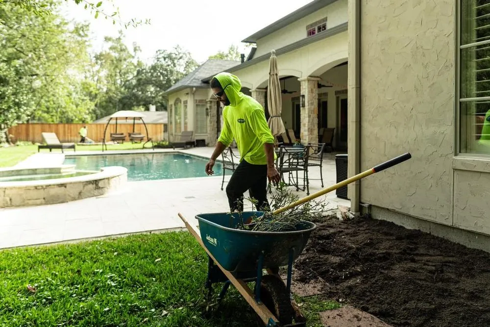 Top-rated yard cleanup service in Houston, TX by Absolute Lawn Care and Landscaping