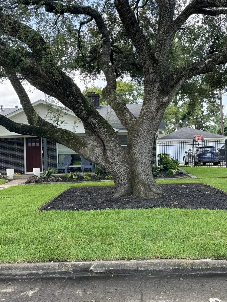 Professional outdoor landscaping in Houston, TX - Absolute Lawn Care and Landscaping