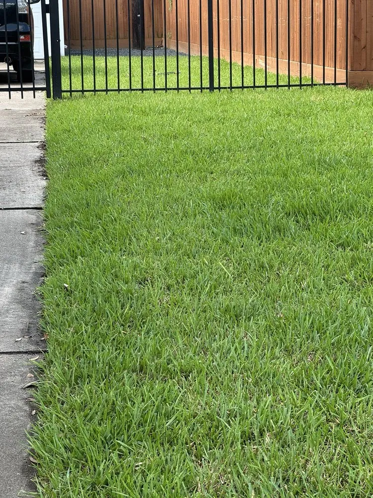 Custom lawn mowing service for year-round maintenance in Houston, TX by Absolute Lawn Care and Landscaping
