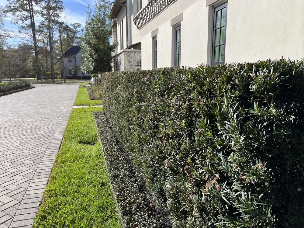 Top-rated lawn care service in Houston, TX by Absolute Lawn Care and Landscaping