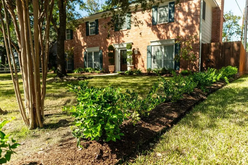 Trusted landscaping services for beautiful yards in Houston, TX by Absolute Lawn Care and Landscaping