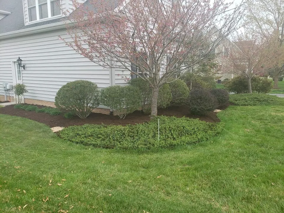 Trusted yard cleanup service with custom design across Easton, MD - Absolute Lawn Care