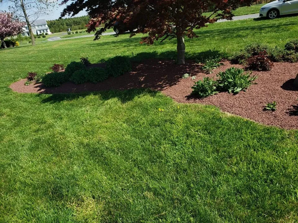 Professional garden landscaping for beautiful yards in Easton, MD by Absolute Lawn Care