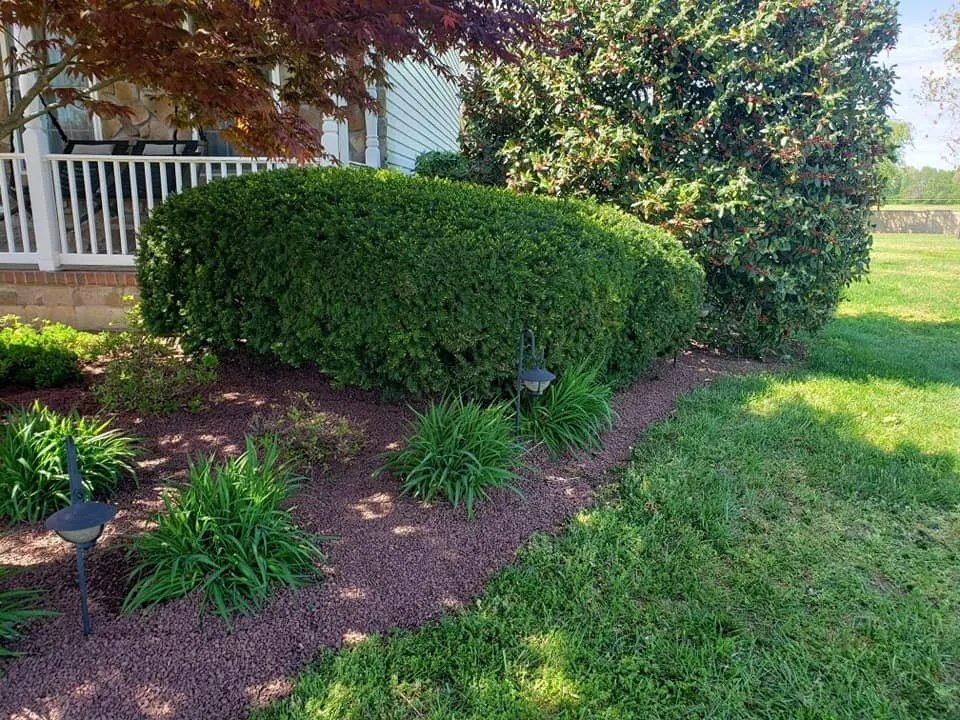 Custom outdoor landscaping experts serving Easton, MD - Absolute Lawn Care