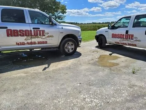 Top-rated outdoor landscaping for year-round maintenance across Easton, MD - Absolute Lawn Care