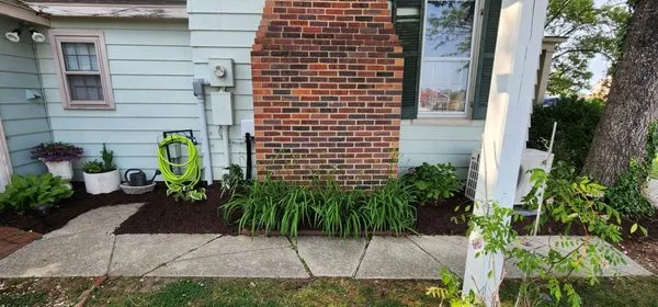 Absolute Lawn Care Logo