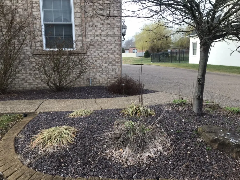 Local lawn care service in Evansville, IN by Absolute Lawn Care