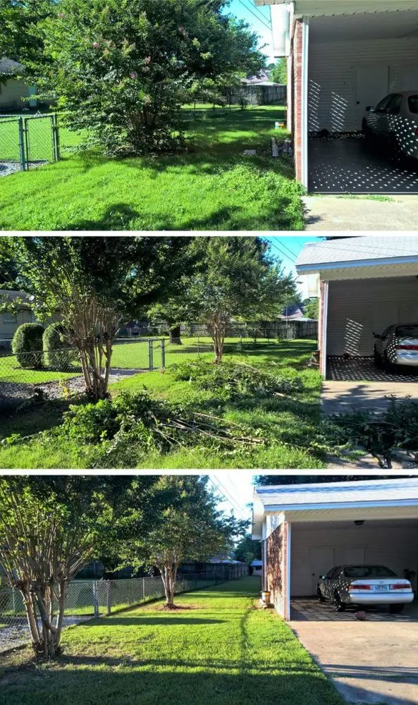 Reliable yard cleanup service in Pottsville, AR by Absolute Lawn Care