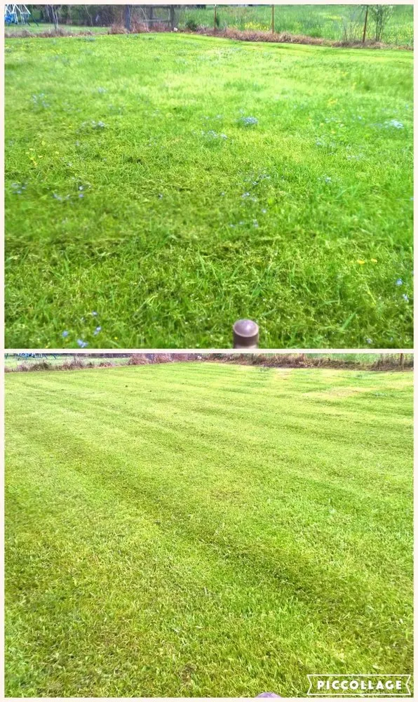 Expert landscape installation in Pottsville, AR by Absolute Lawn Care