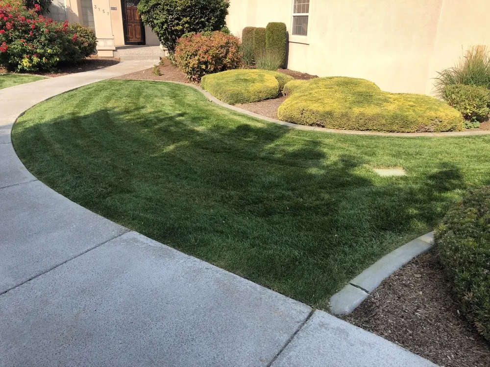 Reliable lawn mowing service in Twin Falls, ID - Absolute Lawn Care