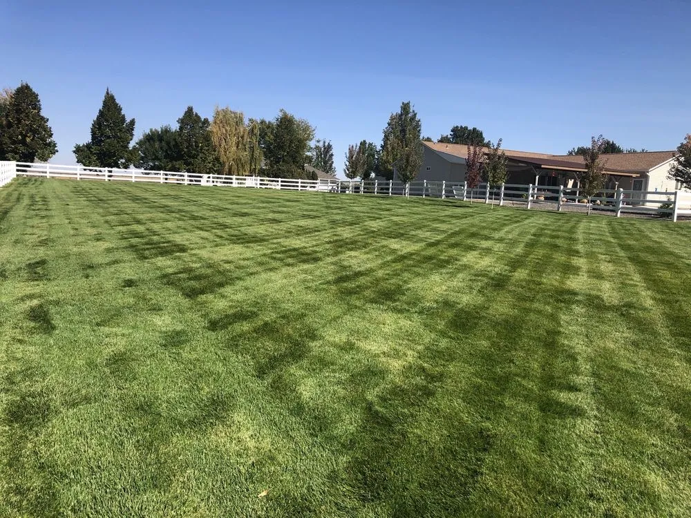 Custom lawn care service in Twin Falls, ID - Absolute Lawn Care