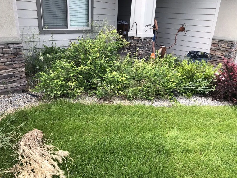 Reliable landscape installation in Twin Falls, ID by Absolute Lawn Care