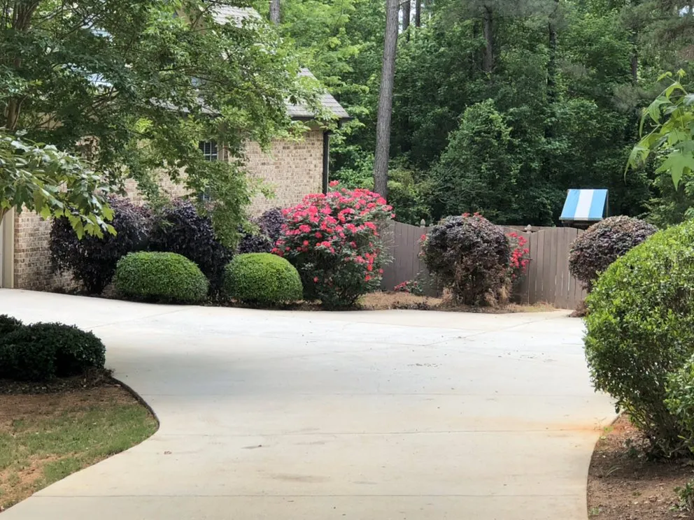 Affordable yard cleanup service with custom design in Athens, GA by Absolute Lawn Maintenance