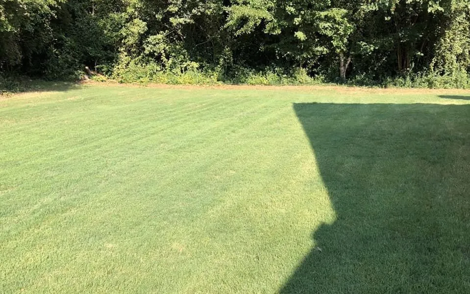 Professional yard cleanup service for year-round maintenance across Athens, GA - Absolute Lawn Maintenance