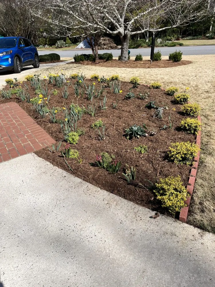 Custom landscaping services in Athens, GA - Absolute Lawn Maintenance