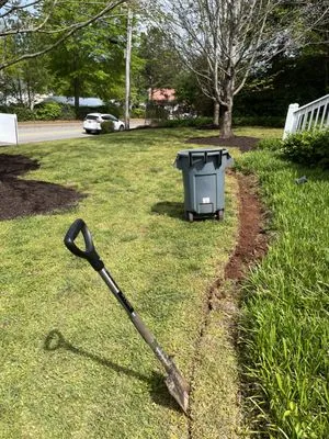 Absolute Lawn Maintenance Logo